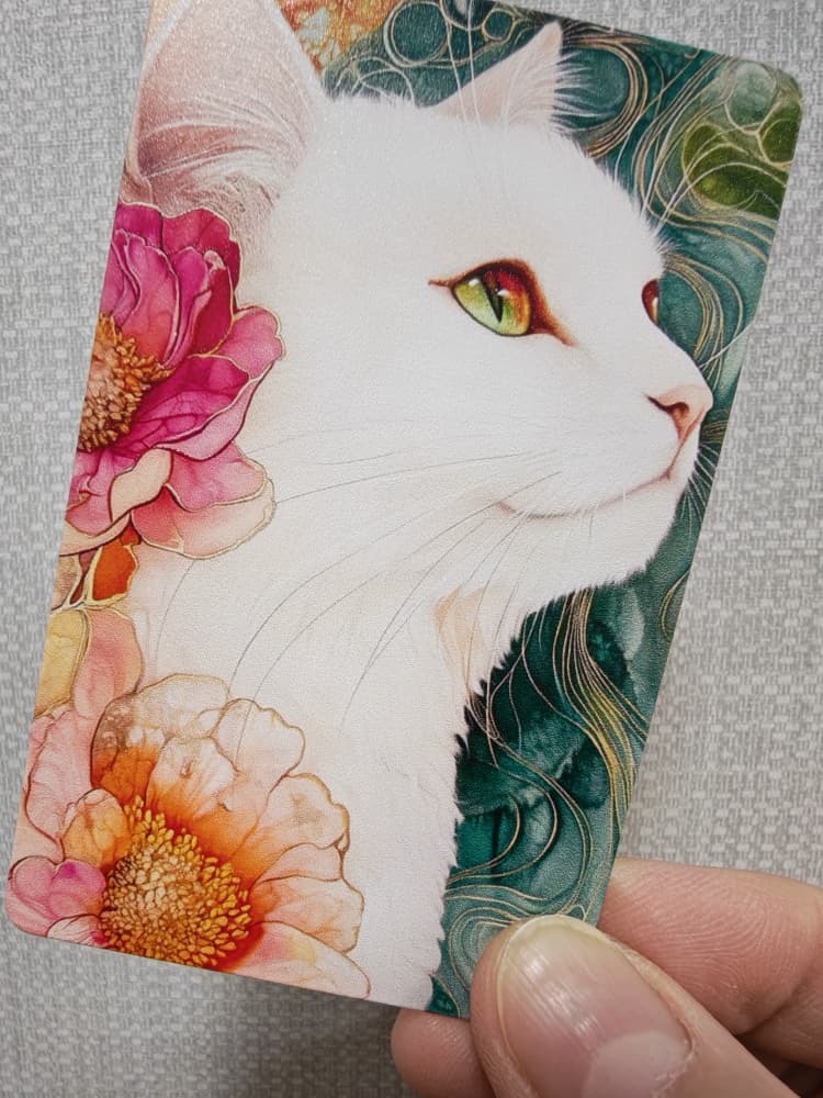 WhatsApp Image 2026-03-13 at 6.53.27 PM