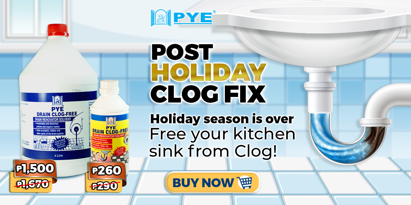 Globe PYE Holiday Clog Fix_Desktop