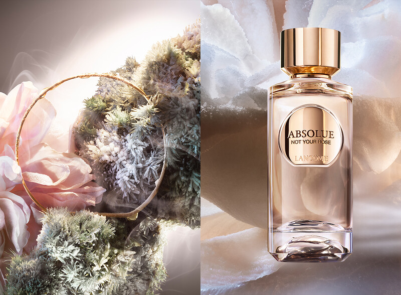 玫瑰孤境 NOT YOUR ROSE