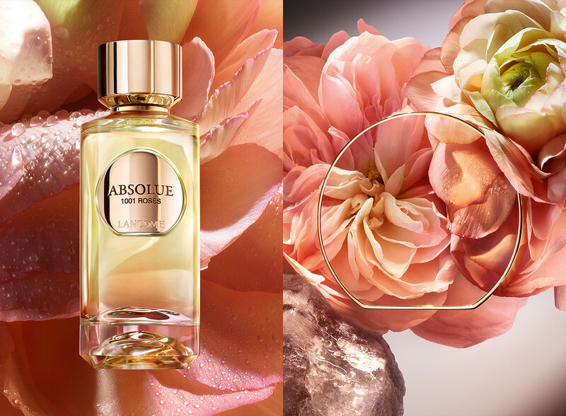 1001朵玫瑰 1001 ROSES