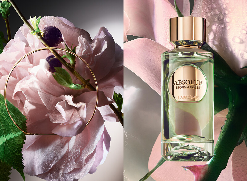 玫瑰狂瀾 STORM & ROSES