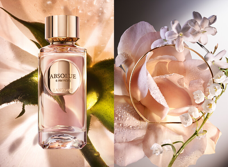 晨曦玫瑰 6 AM ROSE