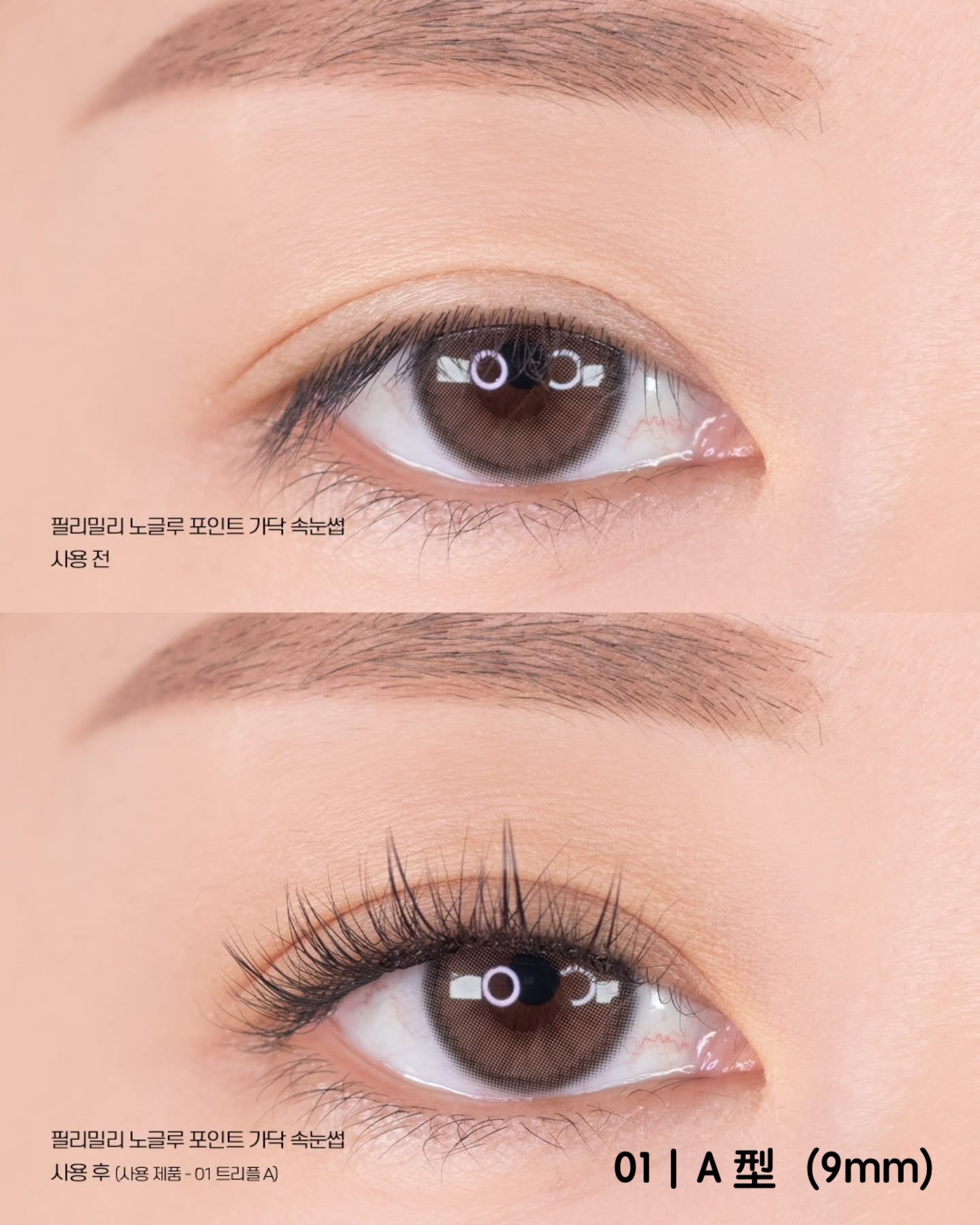 fromjosee_1748592973_3643784421561933363_1245300650