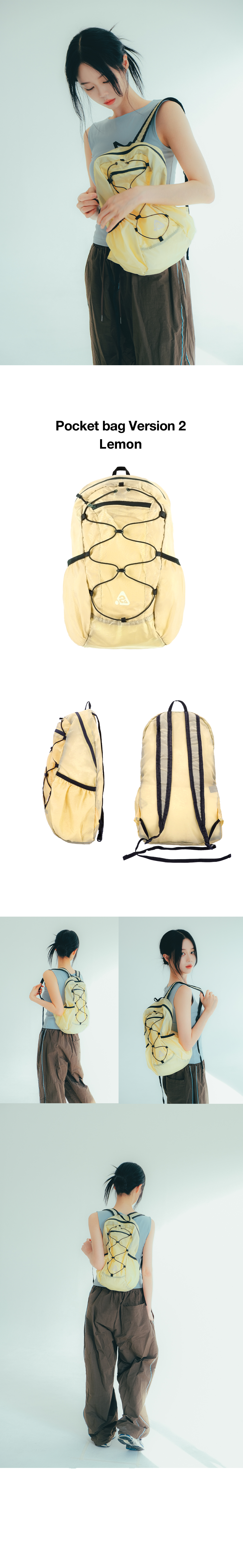 detail-v2-intro-lemon