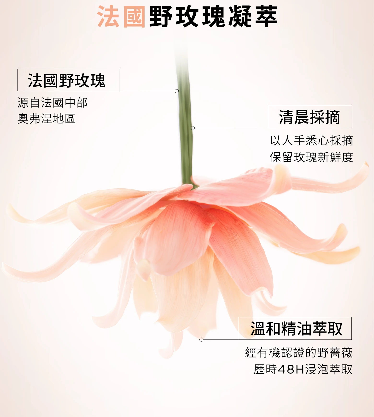 c63d205d-700a-4e9f-b242-f894b9b46554
