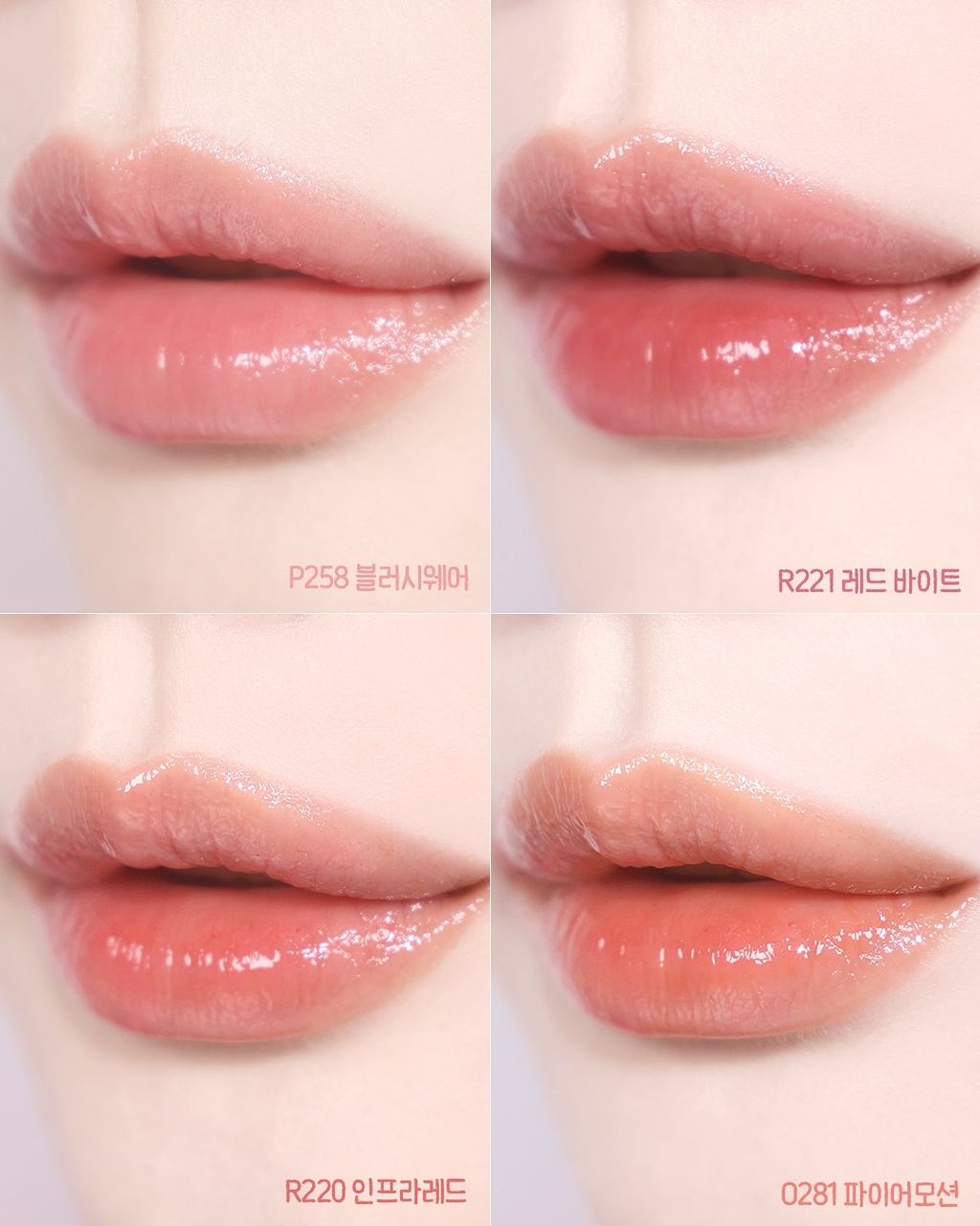 _parkha_1772700091_3846007235324043970_735938630