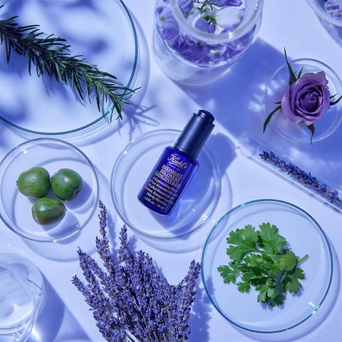 Kiehls_MidnightRecovery_Franchise-B