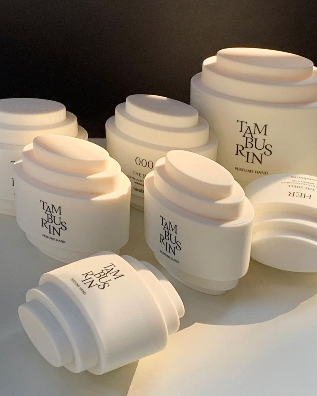 unknown_140099112_486050042383569_6714164987980649662_n