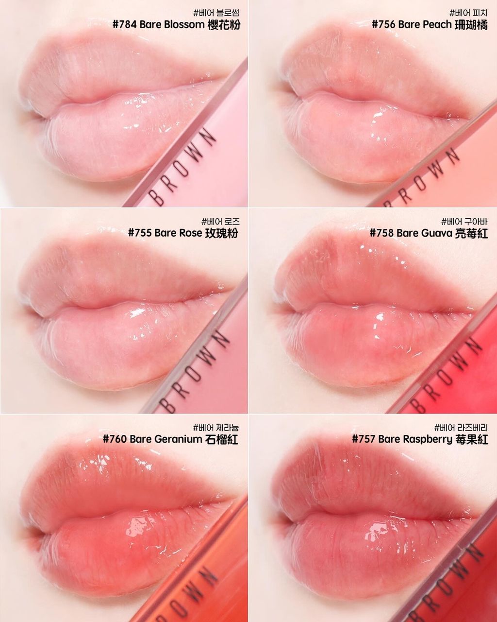 440873415_416383057815103_6677585155019275209_n