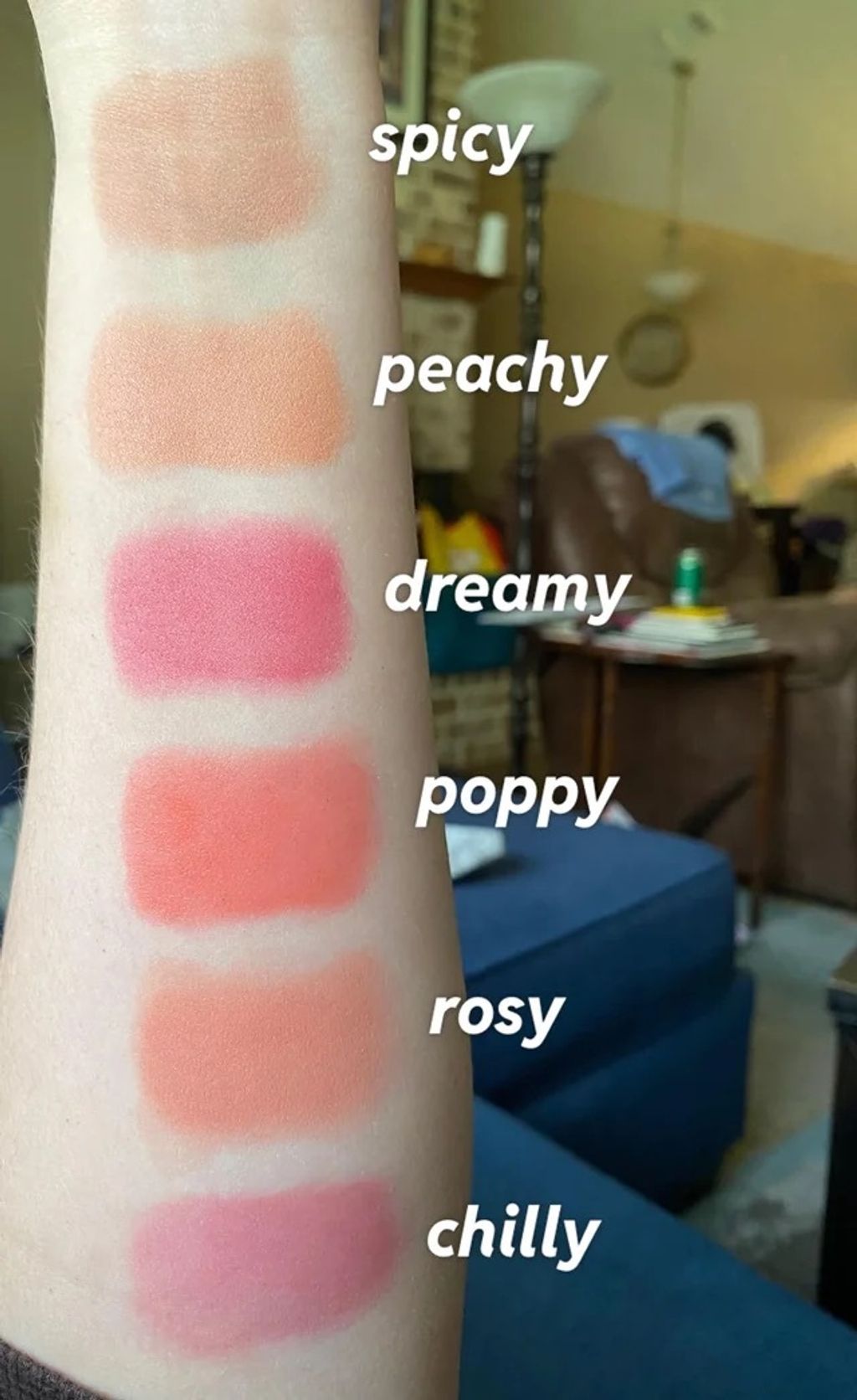 all-six-permanent-shades-of-the-saie-dew-blushes-swatched-v0-kw9lh6lp6y2c1