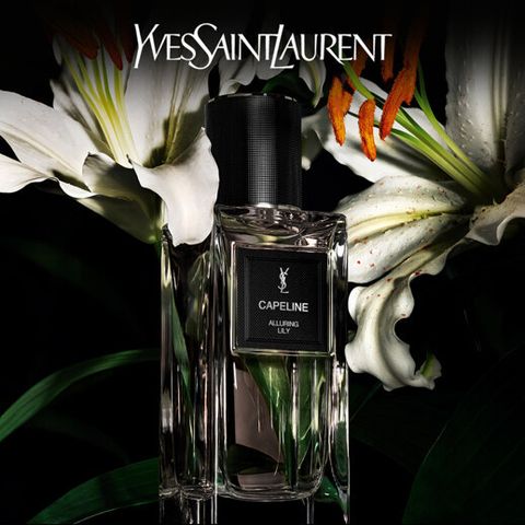 時尚訂製香水 寬簷帽