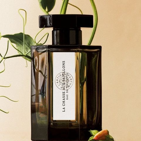 追逐蝴蝶淡香水