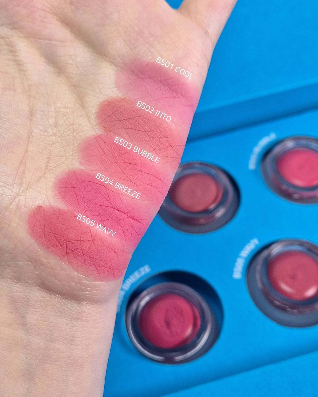 clclani_co_1732717391_3510610387534698751_7072932293