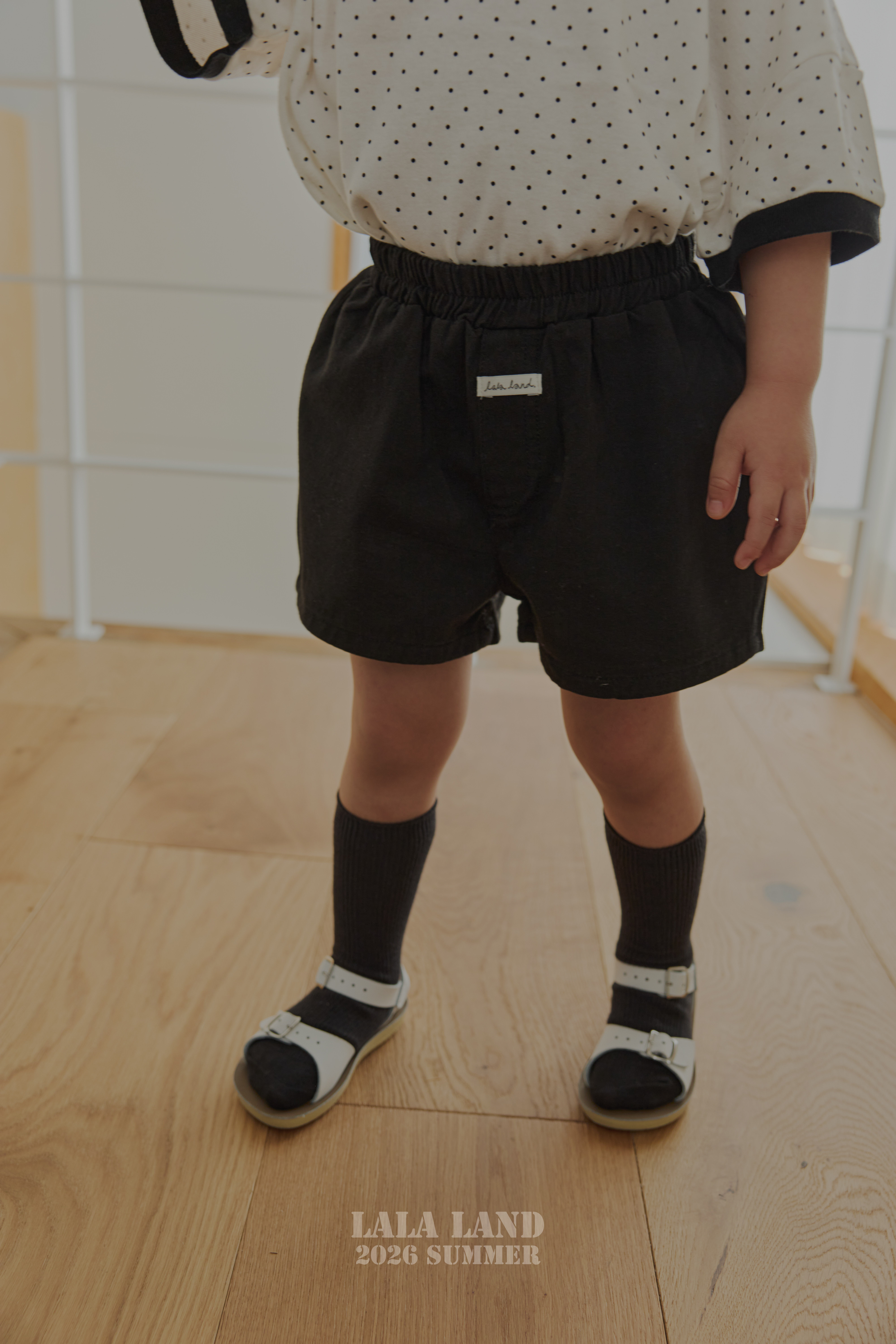 0324 라라랜드2775