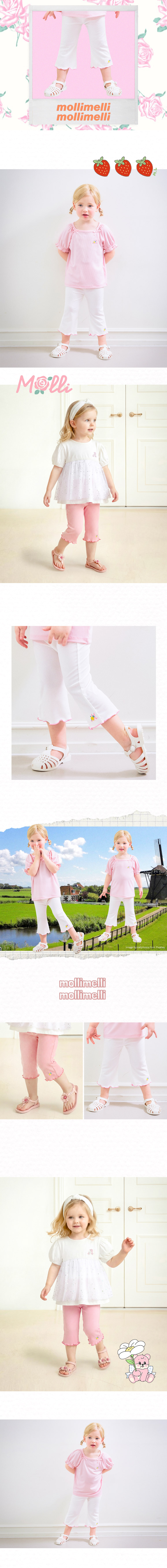 mm_model01