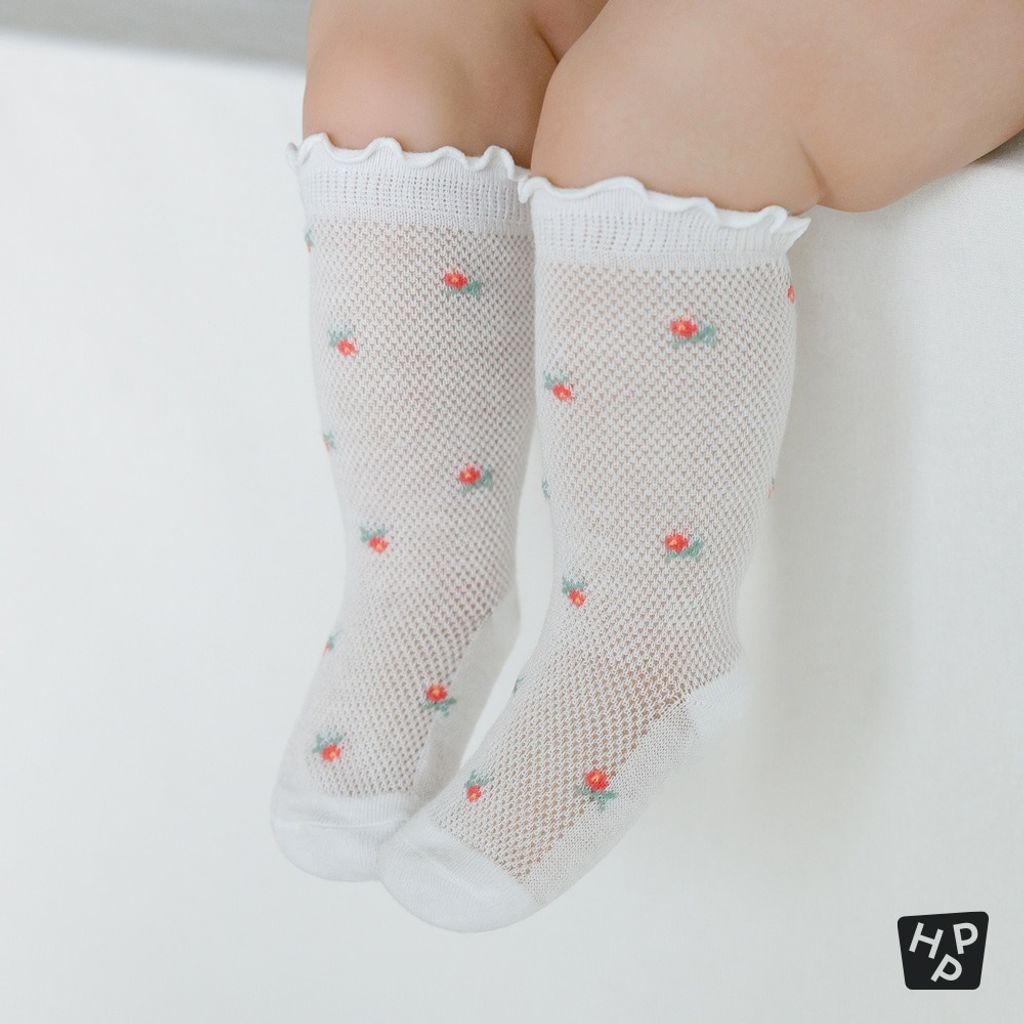 imgi_11_624815a5c356fdd0d346d5b7ed0b11fe