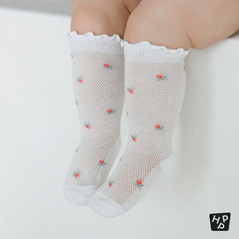 imgi_11_624815a5c356fdd0d346d5b7ed0b11fe