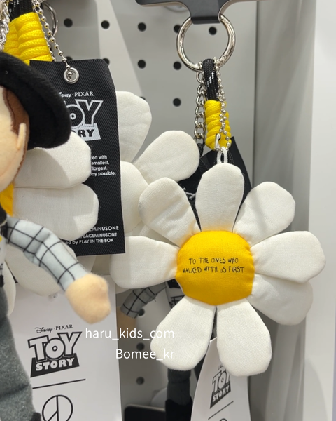 2607041244594219