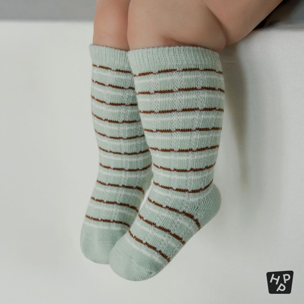 imgi_11_9bf477c57d44d4e02b0ac2dd44b67807