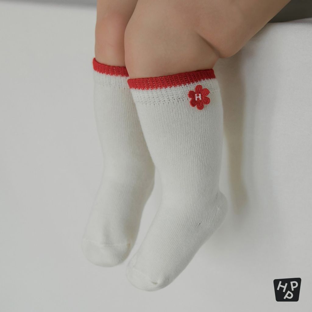 imgi_11_e47ce8c04d9684d00ebaa85fa1167fc6