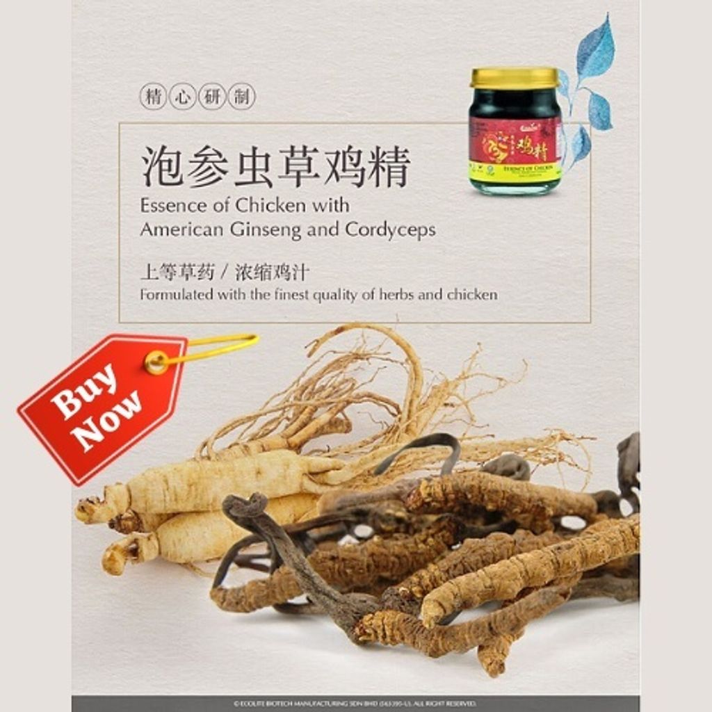 Ecolite Essence Of Chicken With American Ginseng Cordyceps 70mlx6 益康泡参虫草鸡精 My Herb 中和堂