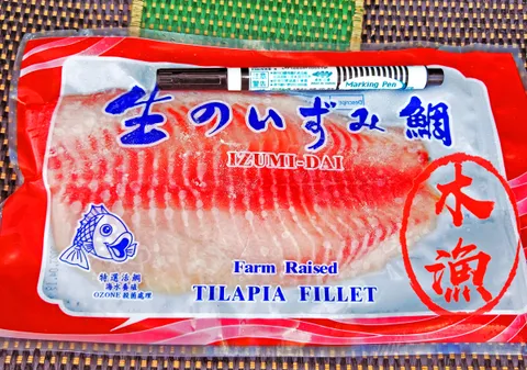 鯛魚片111.jpg