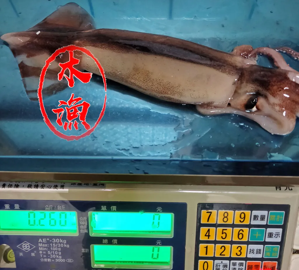 魷魚.jpg