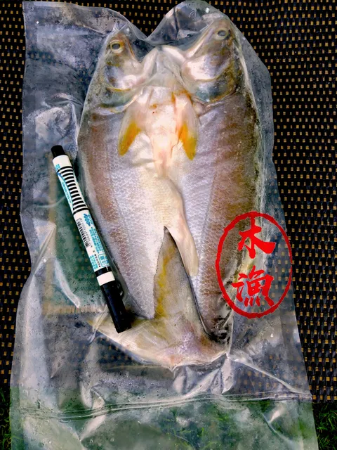 午仔一夜乾 (2).jpg