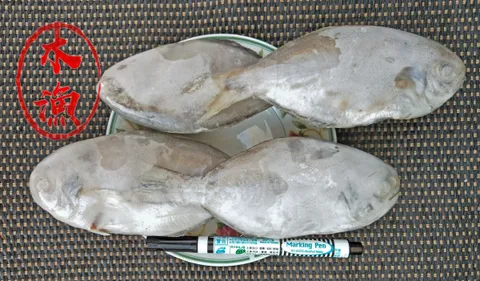 肉魚2222.jpg