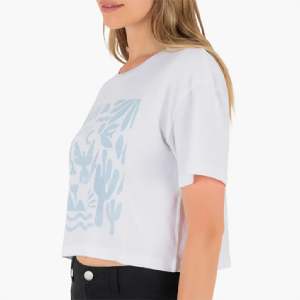 螢幕擷取畫面 2026-03-03 113642