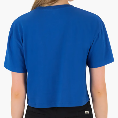 螢幕擷取畫面 2026-03-10 111538