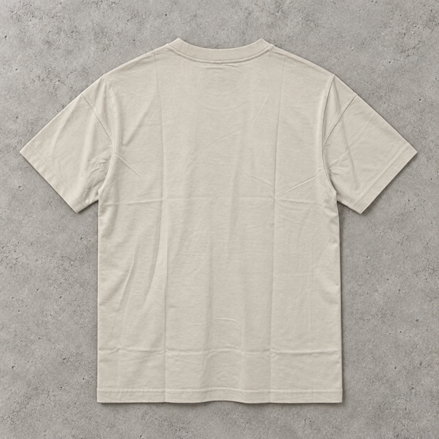 image21