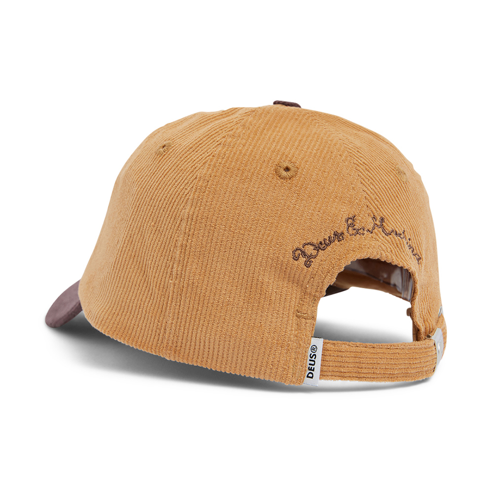 DMF247580.Sonoma Dad Cap.Brown.2