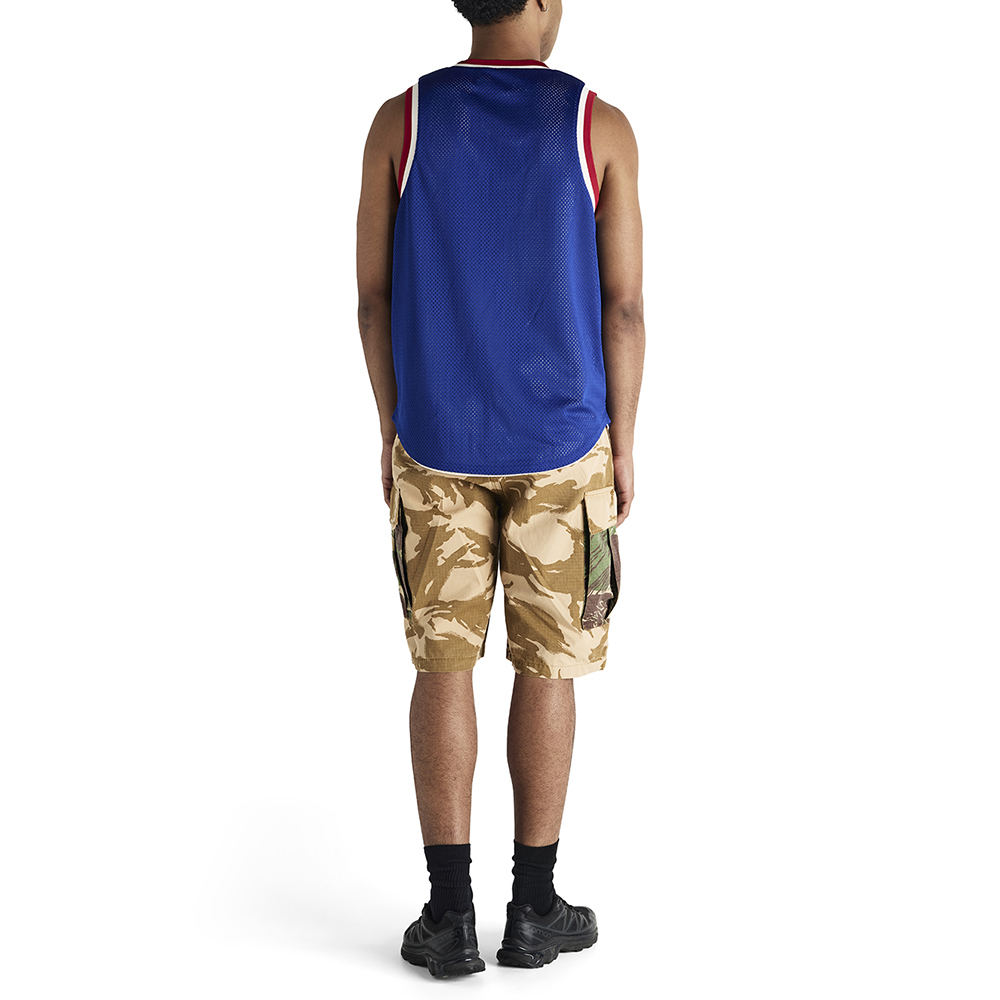 DUP253966-Arts & Crafts Cargo Short-Desert Camo-6a