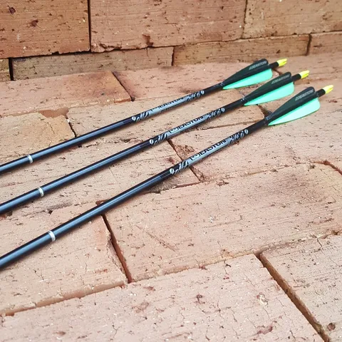 <img src="survival bow.jpg" alt="Take down arrow"/>