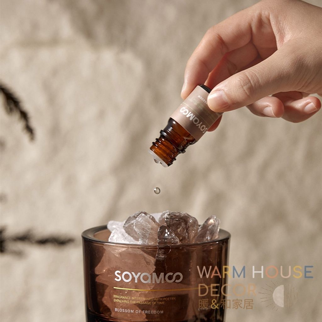 tw-11134207-7ra0s-mbvvojbjb1b678