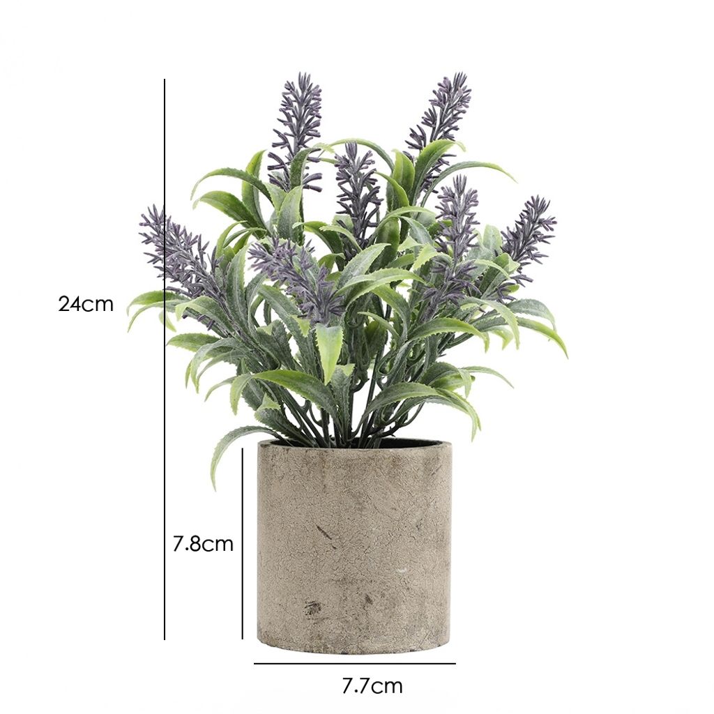 tw-11134207-7r990-lpacu2qoyl9zfb