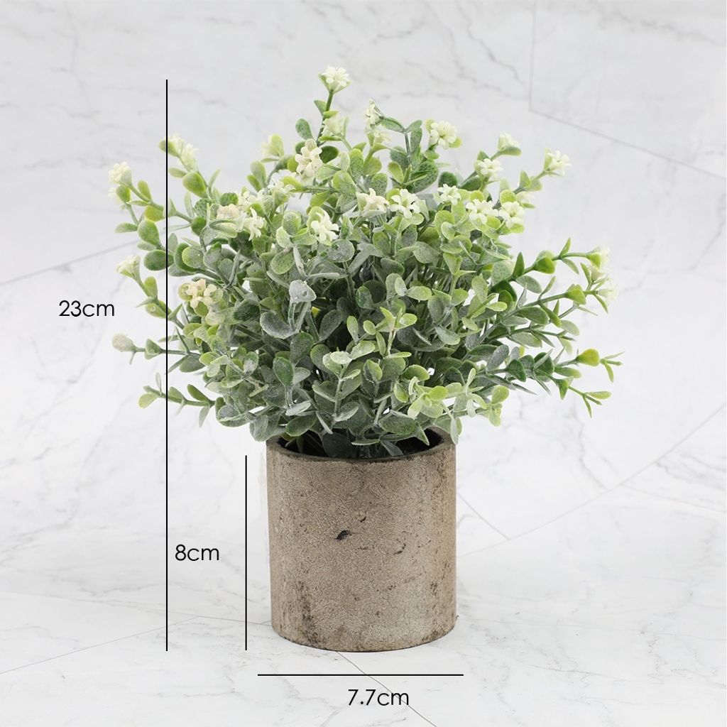 tw-11134207-7r98y-lpacu2qozzuff7