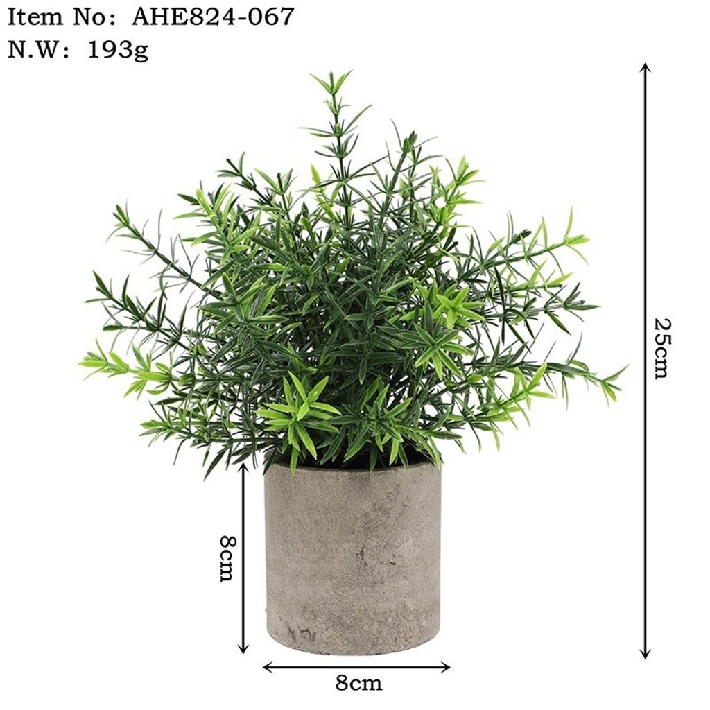 tw-11134207-7r98y-ly22rwi6dzcg37