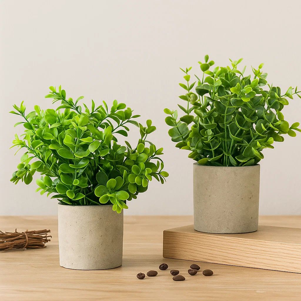 tw-11134207-7ra0o-mbnau18o5xe11a