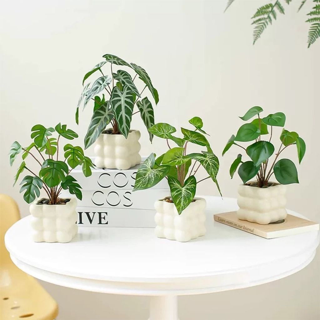 tw-11134207-7rbkc-ma9pa43hug5yb0