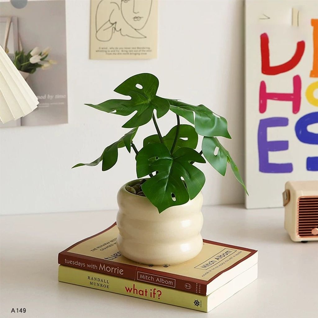 tw-11134207-7rbk1-ma9pa43ht1n69e