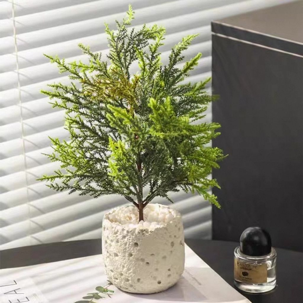 tw-11134207-7rbk2-ma9pahbwfvpy73