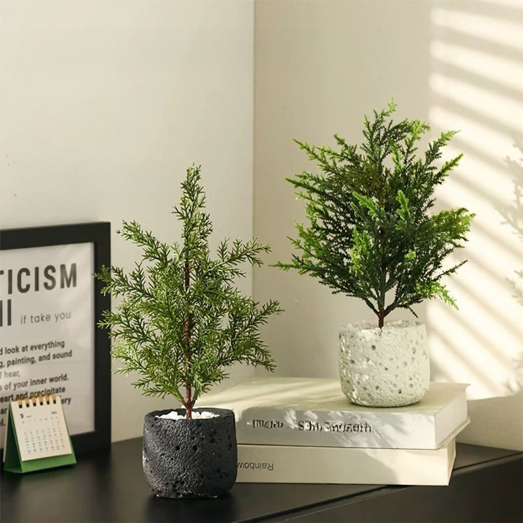 tw-11134207-7rbkd-ma9pahbwfvrm6a