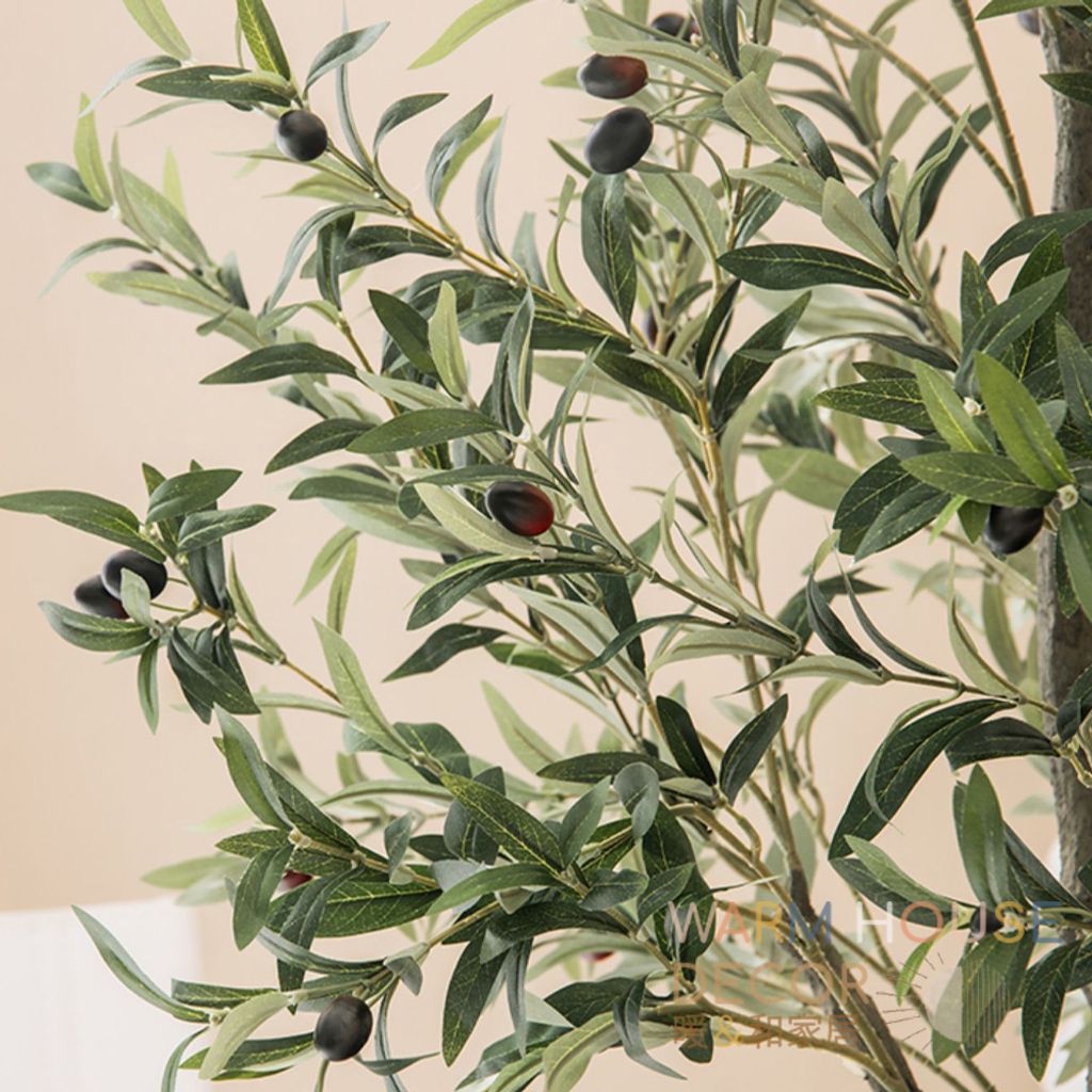 tw-11134207-7qul5-lgmmf5sydiqx9a