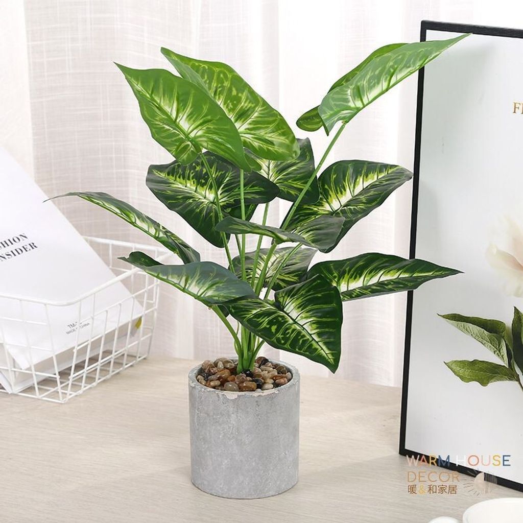 1c3b6e5ad955d2fad920165cf5ab4105