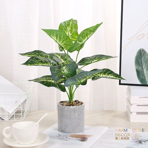 0fcbf125efd89f7fce16d43f82d8220f