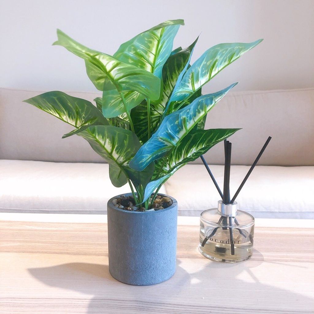 21ceb0f505169fcab9595cffe30d21ef