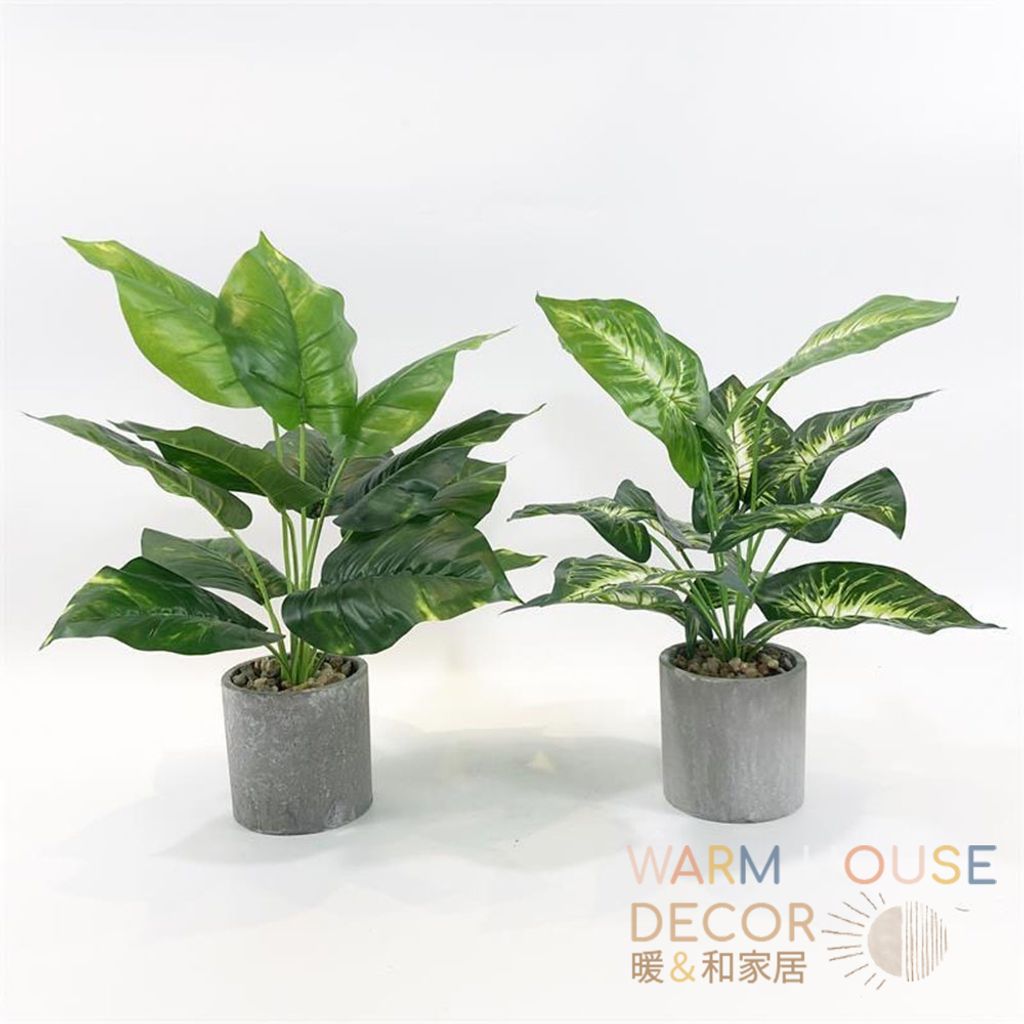 tw-11134207-7quky-lg0j56rs22i2a6