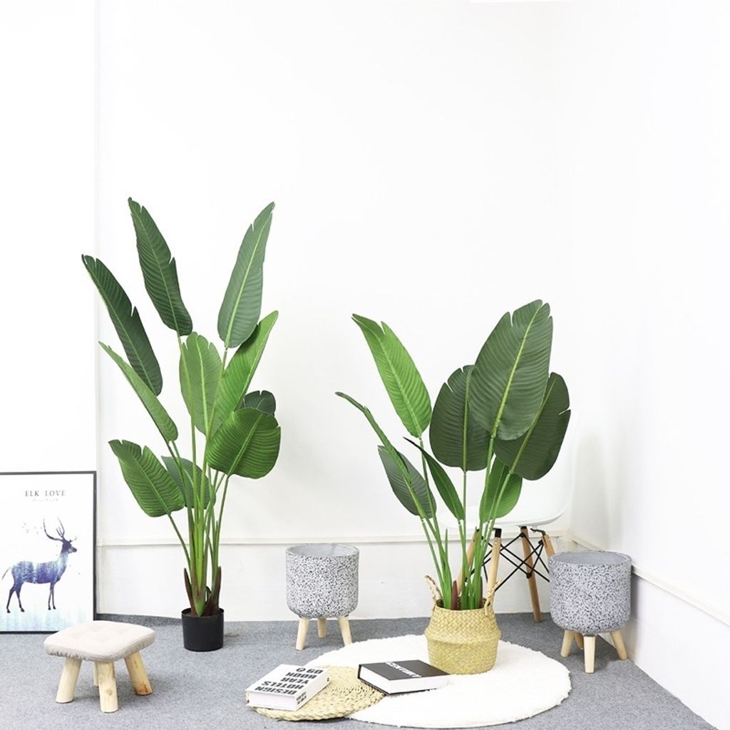 c1e679c01134ebcb2220d13525a97eda